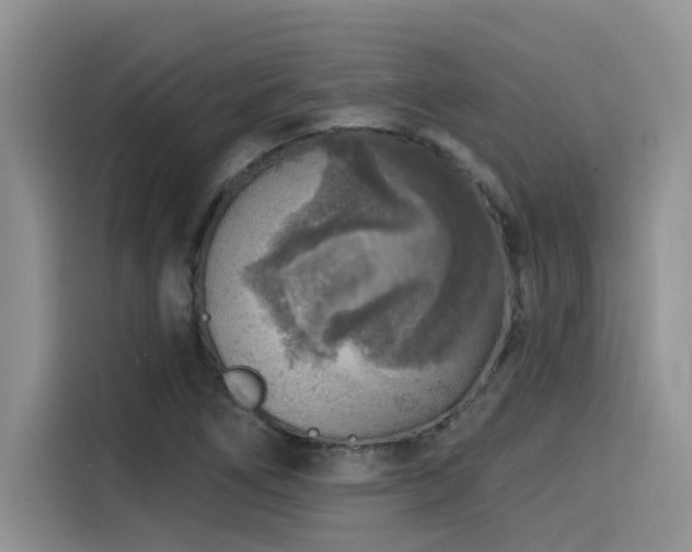 X0000115551266200911061526