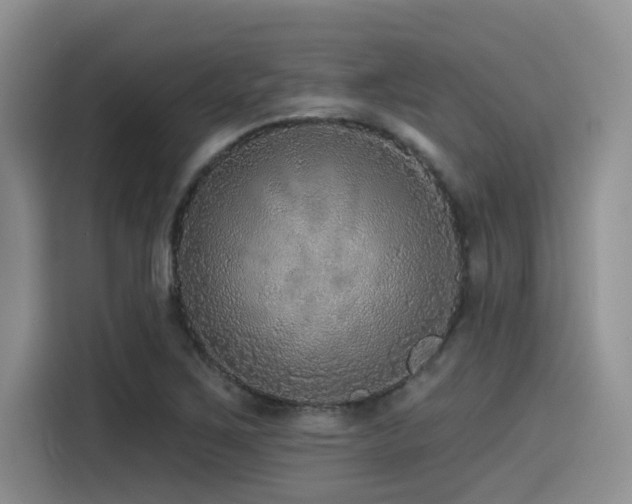 X0000115551267200911061526