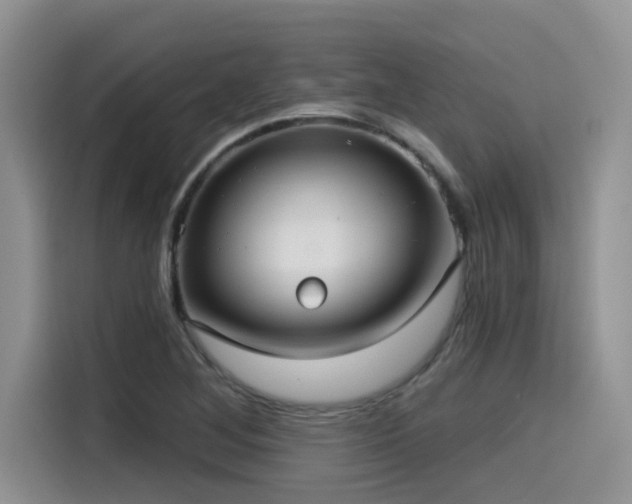 X0000115551268200911061526