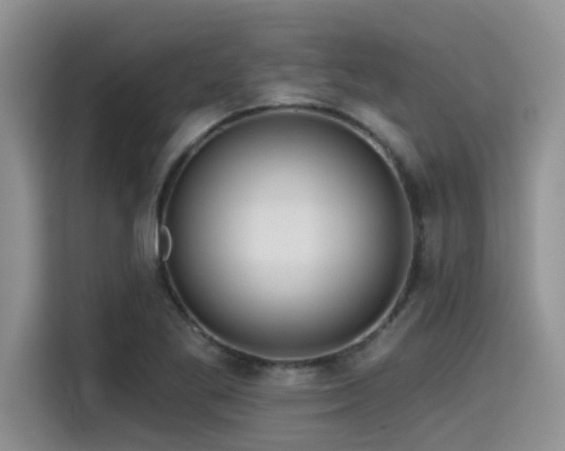 X0000115551269200911061526