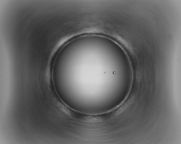 X0000115551270200911061526