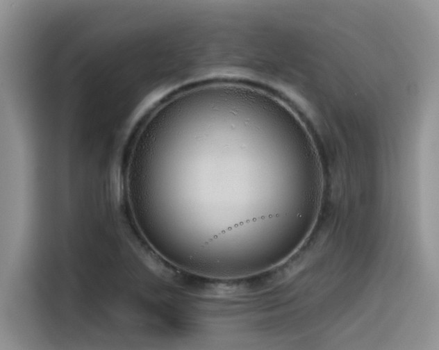 X0000115551271200911061526