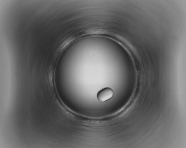 X0000115551273200911061526