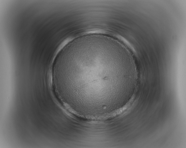 X0000115551274200911061525