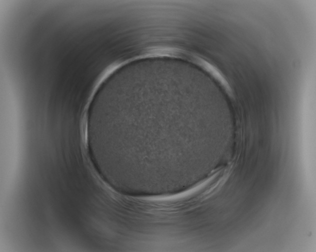 X0000115551275200911061525