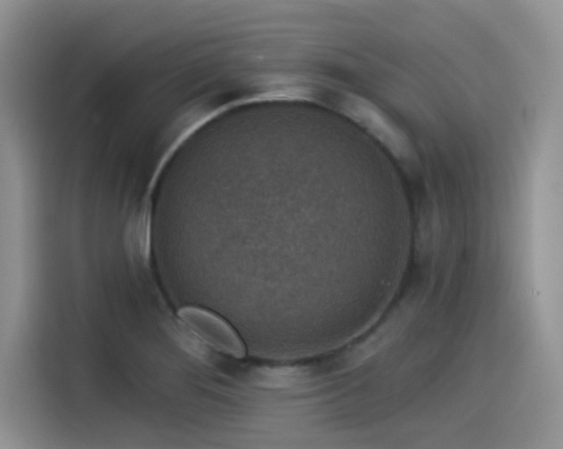 X0000115551276200911061525