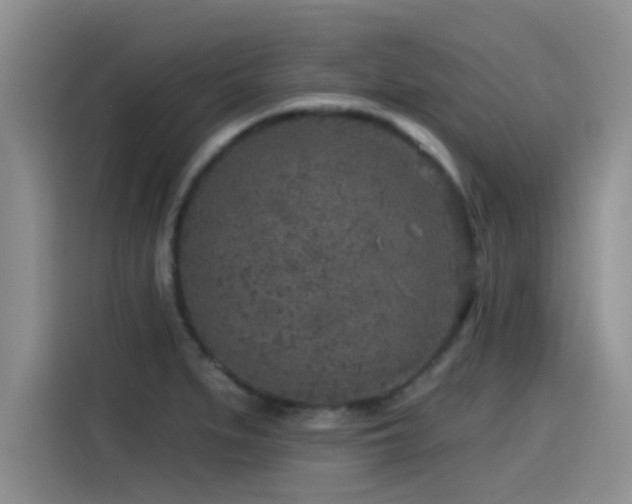 X0000115551279200911061525