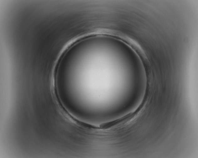 X0000115551280200911061525
