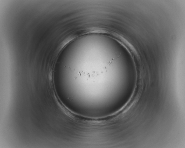 X0000115551281200911061525