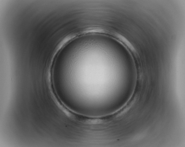 X0000115551282200911061525