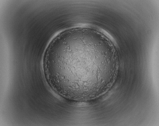 X0000115551283200911061525