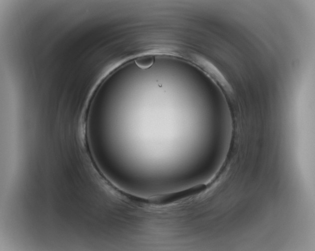X0000115551284200911061525