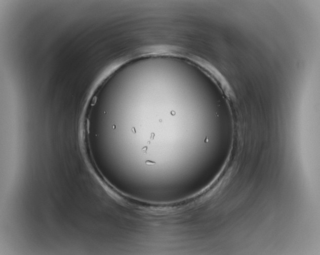 X0000115551285200911061525