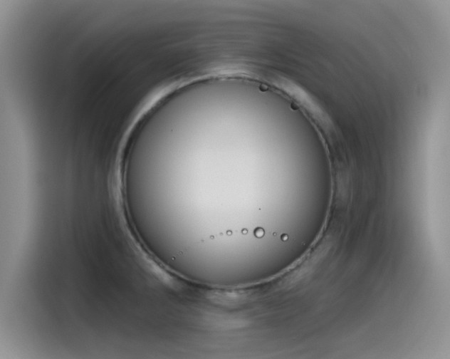 X0000115551286200911061525