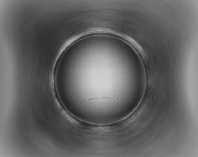 X0000115551287200911061525