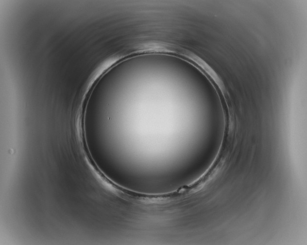X0000115551293200911061525