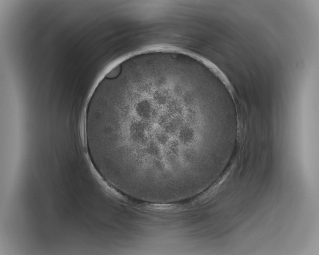 X0000115551295200911061525
