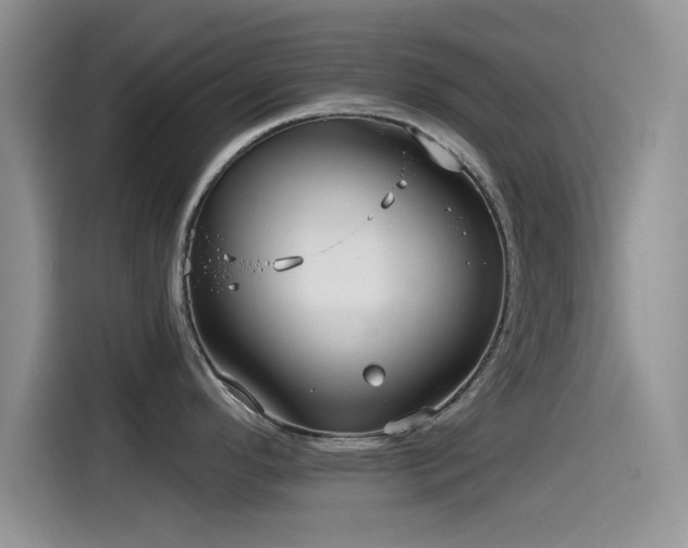 X0000115551296200911061525