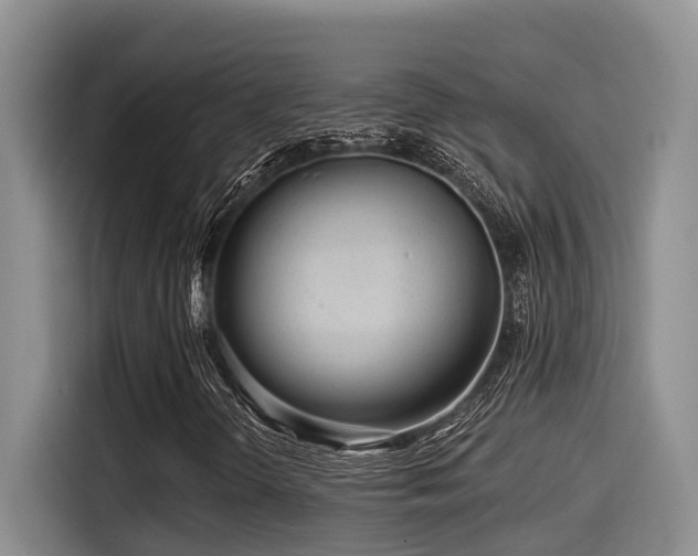 X0000115551298200911061525