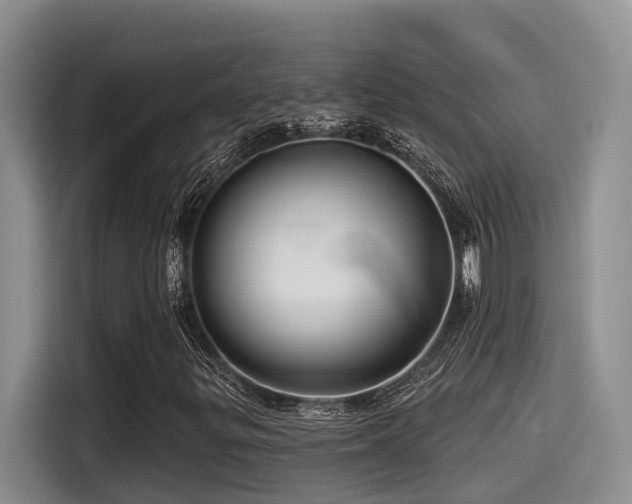 X0000115551299200911061525
