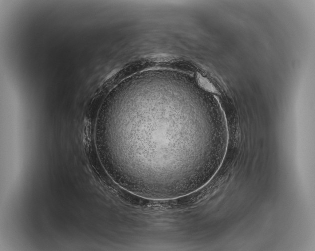 X0000115551301200911061525