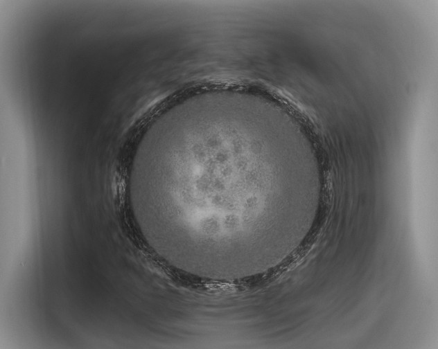 X0000115551302200911061525
