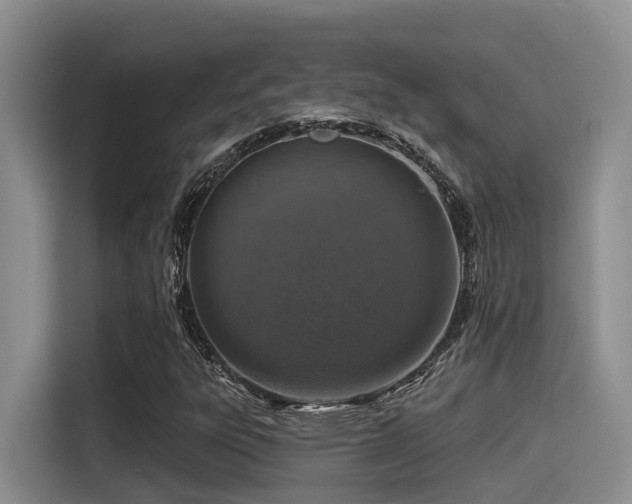 X0000115551303200911061525