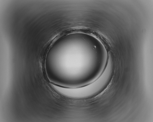 X0000115551305200911061525