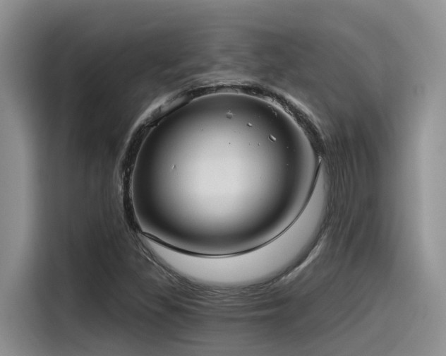X0000115551309200911061525