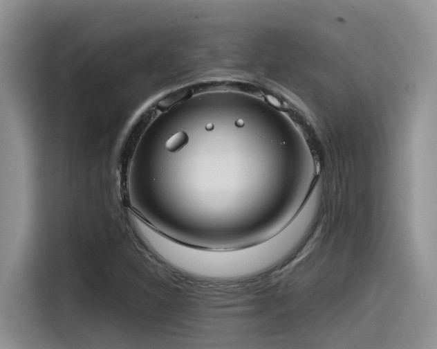 X0000115551310200911061525
