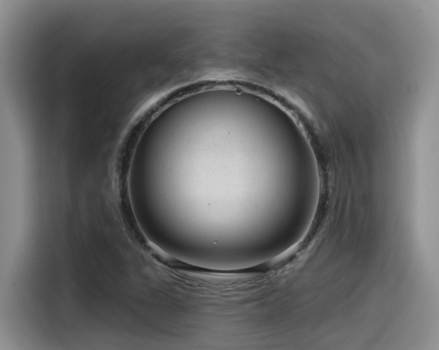 X0000115551311200911061525
