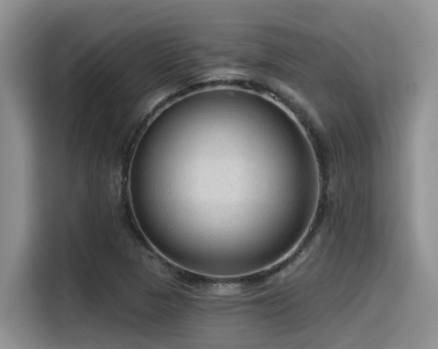 X0000115551313200911061525