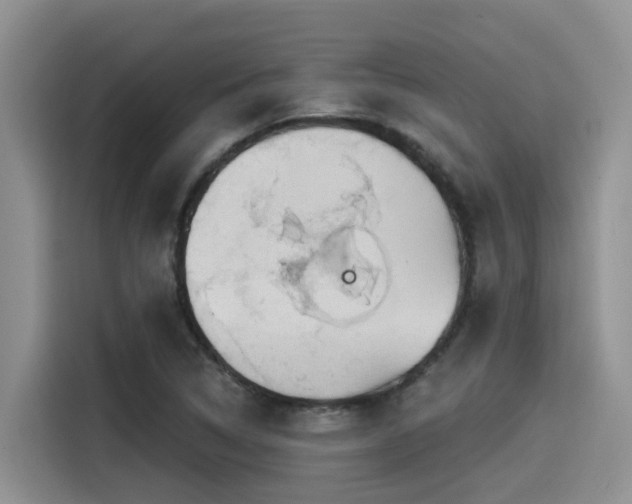 X0000115551314200911061525