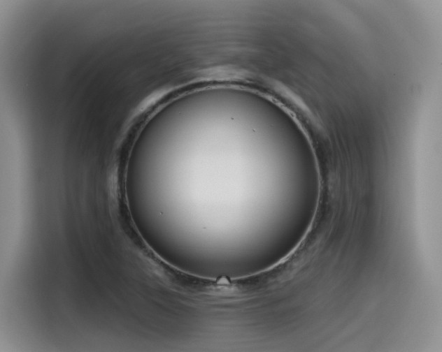 X0000115551315200911061525