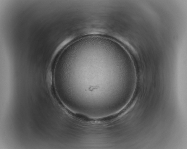 X0000115551317200911061525