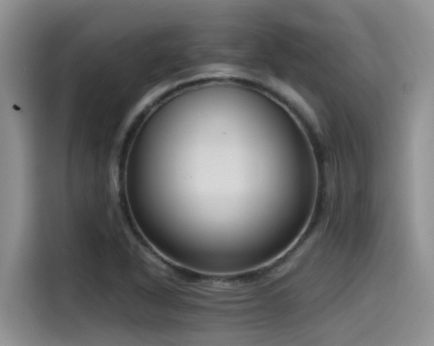 X0000115551318200911061525