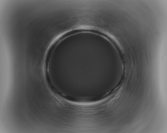 X0000115551319200911061525