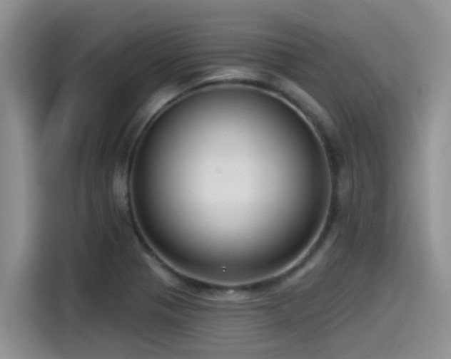 X0000115551321200911061525