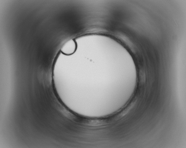 X0000115551322200911061525