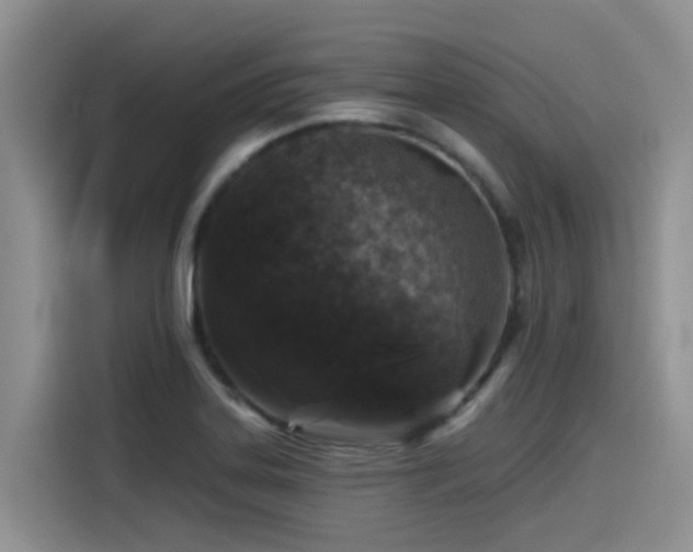 X0000115551323200911061525