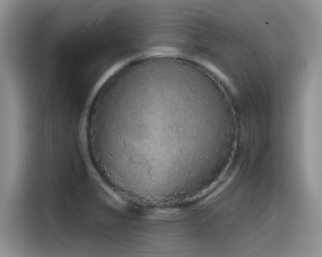 X0000115551325200911061525
