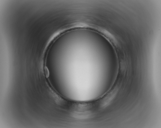 X0000115551326200911061525