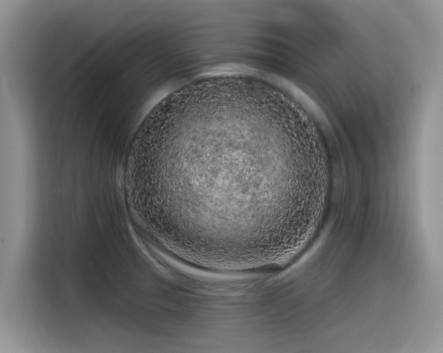 X0000115551329200911061525