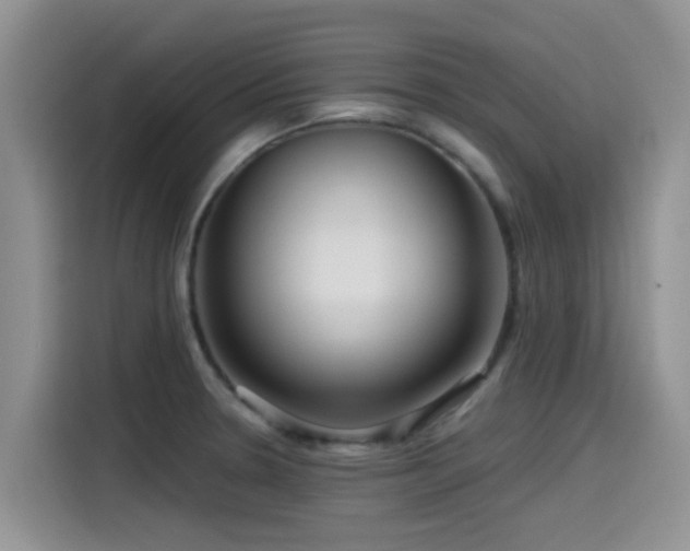 X0000115551330200911061525