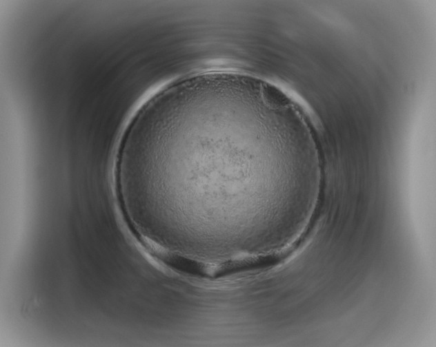 X0000115551333200911061525