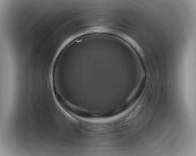 X0000115551334200911061525