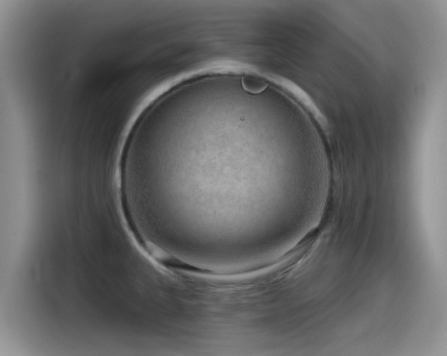 X0000115551335200911061525