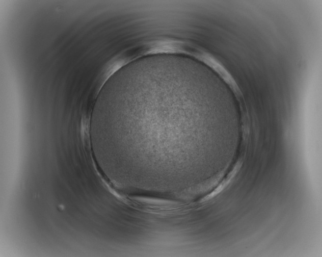 X0000115551337200911061525