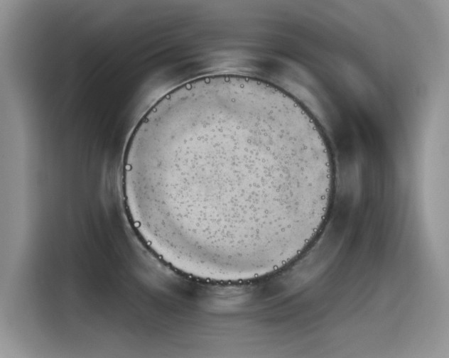 X0000115551338200911061525