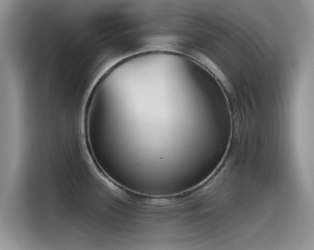 X0000115551339200911061525